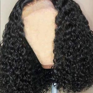 100% 14 Inch Human Hair Lacefront Wig